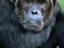 Image_11979-4