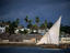 Image_11981-26