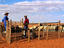 desert sheep farm, South Africa
