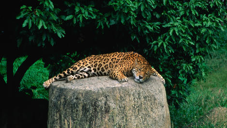 Caracas Image Gallery