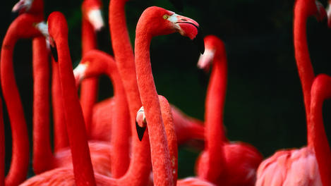 Image_120-1603