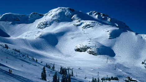 Image_12006-1