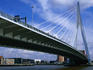 Erasmusbrug bridge built in 1996.