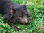Image_12043-6