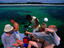 Image_12078-65