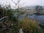 Image_12086-1
