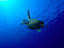 Image_12163-69