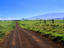 Parker Ranch, Hawaii