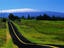 Image_12166-30