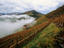 Overhead of house, vineyard and misty valley, Domaine Brana Iroulegy.