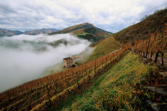 Overhead of house, vineyard and misty valley, Domaine Brana Iroulegy.