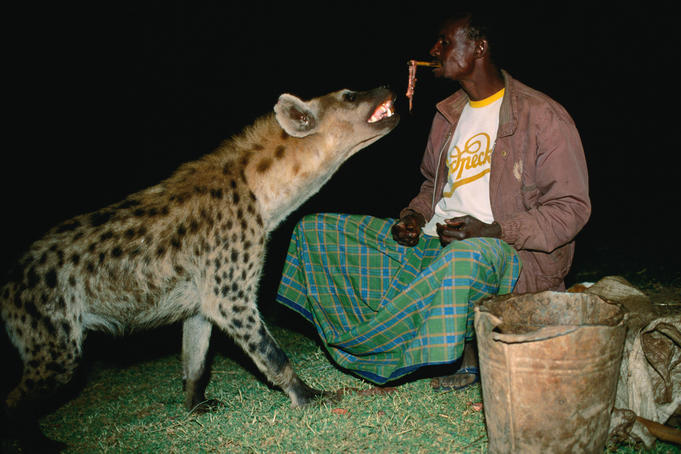 301 Moved Permanently