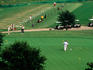 Golfers on the putting greens - Dallas, Texas