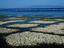 Image_1220-33