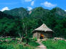 Tourist huts in the lush Goda Mountains