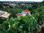 Image_12202-17