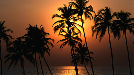 Image_12226-1