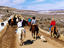 Angus cattle drive, Colorado