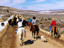 Cowgirls rounding up cattle on Angus cattle drive.