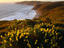 Image_12260-7