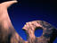 Image_12289-2