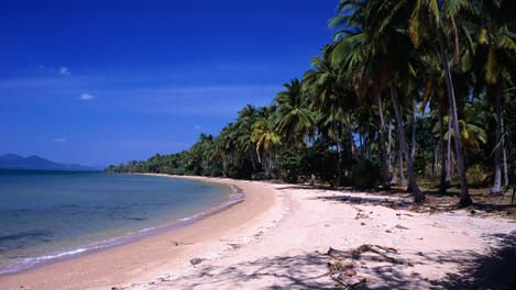 Image_1234-26