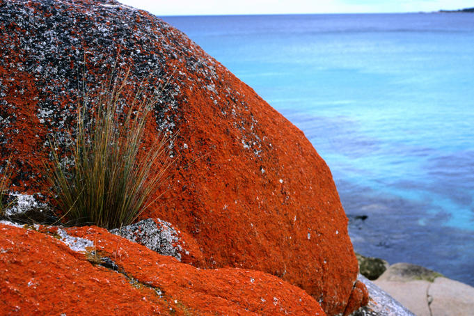 Bay of Fires coastal reserve.