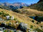 Image_12368-10