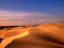 Animal tracks on sand dune in Little Sahara Desert.