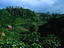 Image_1243-4