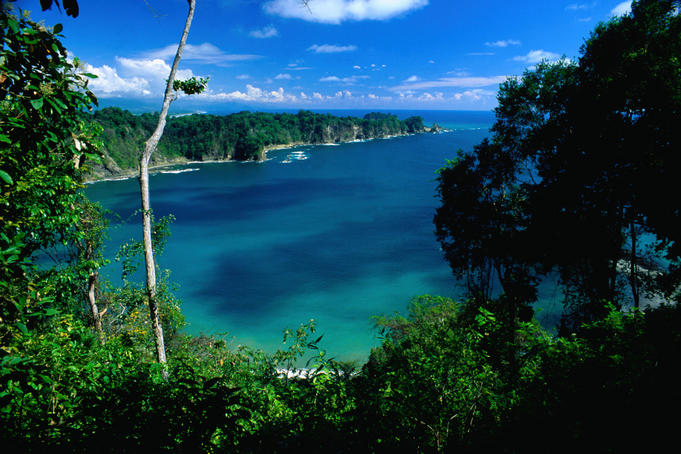 Looking through trees and across a clear water bay, to a rocky peninsula