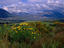 South African scenic west coast