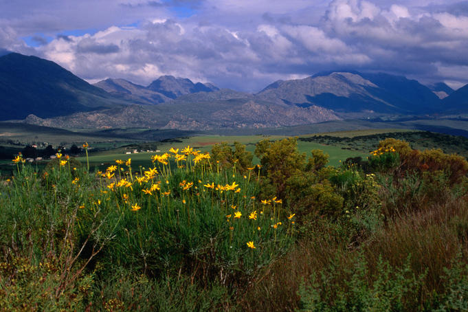 South African scenic west coast.