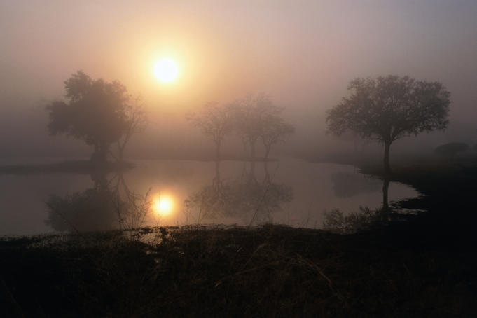 Kumana Dam at sunrise.