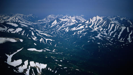 Image_12517-4