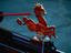 Image_12553-14