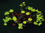 Image_12559-18