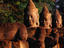 Image_12559-44