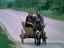 Women travelling on donkey and cart.