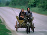 Women travelling on donkey and cart.