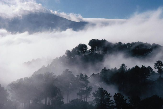 Low cloud over mountain forest region.