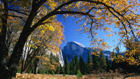 Image_1300-2