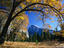 View of the Half Dome in autumn - Yosemite National Park, Sierra Nevada, California