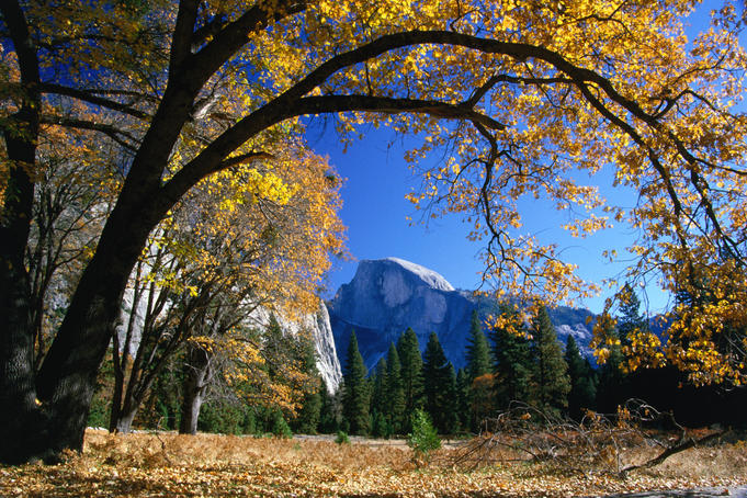 Top 10 US National Parks travel experiences
