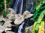 Image_13008-27