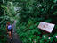 Image_13008-3