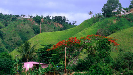 Image_13008-9