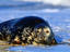 Image_13021-3