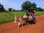 Villagers travelling to work by cart and donkey.