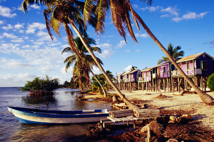 Holiday accomodation overlooking palms and mangroves.